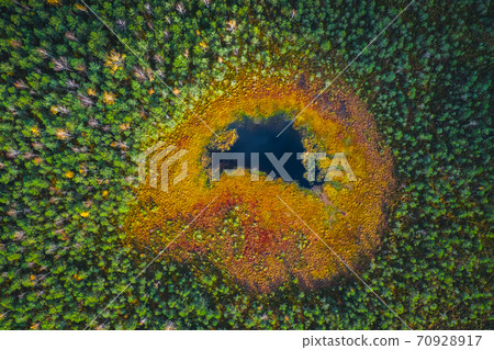 Top drone view of swamp lake in the green forest, beautiful nature view Top drone view of swamp lake in the green forest, beautiful nature view 70928917