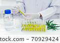 cannabis, doctor, marijuana 70929424