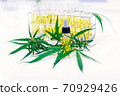 cannabis, leaf, marijuana 70929426