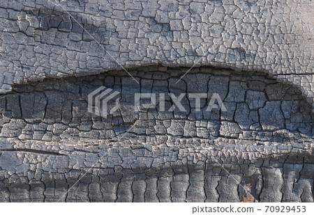 Burnt wood texture. Burnt wood texture. 70929453