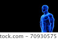 male fitness body - muscle mass building illustration on black background 70930575