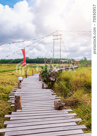 Wood bridge with rice field, Agriculture, paddy, with sky and cloud 70930957