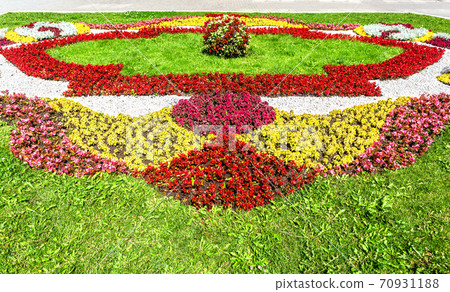 Flower bed with different colorful flowers 70931188