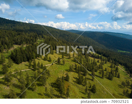 Aerial view on beautiful mountain scenario with lush forests along the Meraner Hoehenweg near Meran in South Tyrol, Italy 70932521