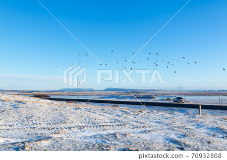 Incredible winter landscape in Iceland. A flock of birds flies over the endless field Incredible winter landscape in Iceland. A flock of birds flies over the endless field 70932808