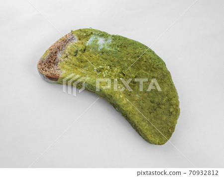 A piece of bread covered with green mold on a white background isolate A piece of bread covered with green mold on a white background isolate 70932812