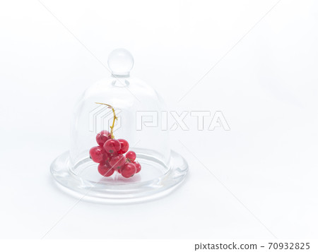 Branch of red currant in a glass plate under a glass cover on a white background Branch of red currant in a glass plate under a glass cover on a white background 70932825