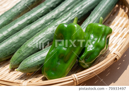 Assorted cucumbers and peppers harvest (August) Home garden 70933497
