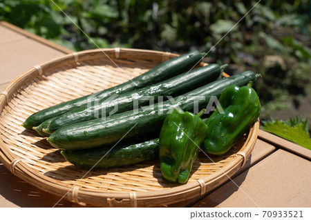 Assorted peppers and cucumbers (August) Home garden 70933521