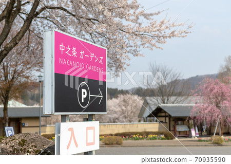 群馬縣中之條町春天中之條花園 70935590