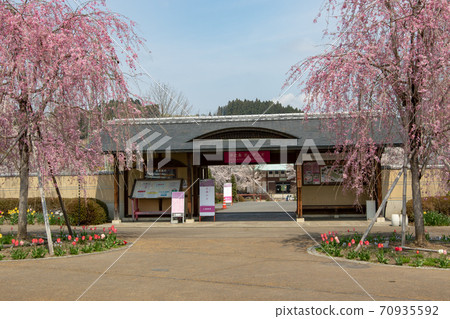 群馬縣中之條町春天中之條花園 群馬縣中之條町春天中之條花園 70935592
