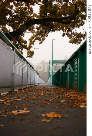 path on the renovated bridge in the early morning on which fallen oak leaves 70935872