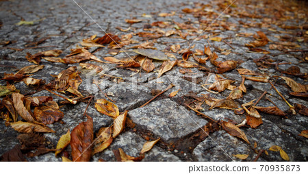 cobblestone road strewn with fallen autumn yellow leaves 70935873