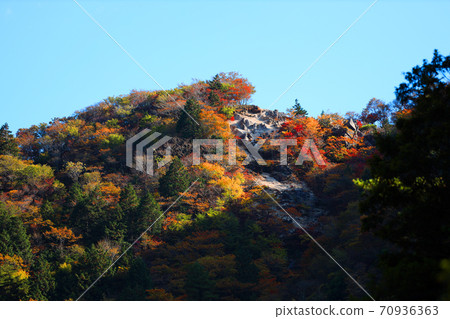 Autumn leaves, autumn, autumn colors, [October] in Komono, Mie-gun, Mie Prefecture 70936363