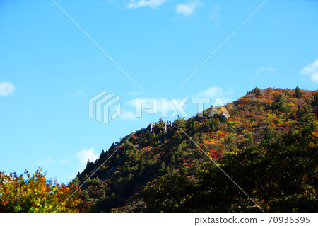 Autumn leaves, autumn, autumn colors, [October] in Komono, Mie-gun, Mie Prefecture 70936395