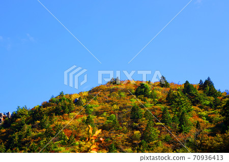 Autumn leaves, autumn, autumn colors, [October] in Komono, Mie-gun, Mie Prefecture 70936413