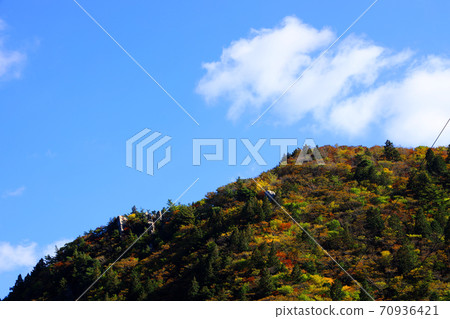 三重縣三重郡葛野市的秋葉風景，秋天，秋天風景，秋天的顏色，[十月] 70936421