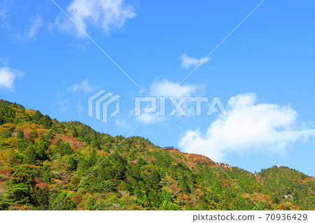 三重縣三重郡葛野市的秋葉風景，秋天，秋天風景，秋天的顏色，[十月] 70936429