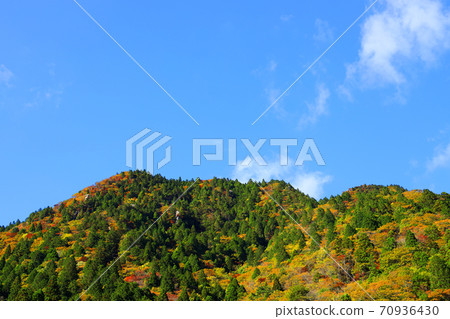 Autumn leaves, autumn, autumn colors, [October] in Komono, Mie-gun, Mie Prefecture 70936430