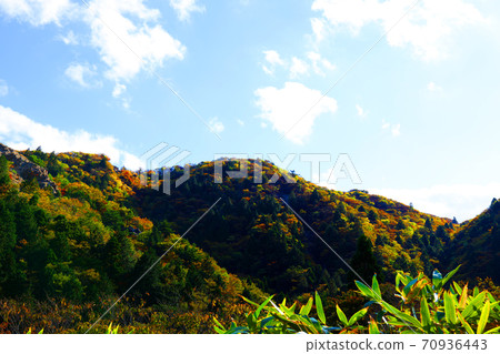 Autumn leaves, autumn, autumn colors, [October] in Komono, Mie-gun, Mie Prefecture 70936443