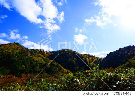 三重縣三重郡葛野市的秋葉風景，秋天，秋天風景，秋天的顏色，[十月] 70936445