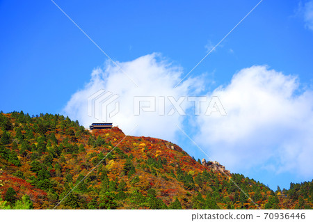 三重縣三重郡葛野市的秋葉風景，秋天，秋天風景，秋天的顏色，[十月] 70936446