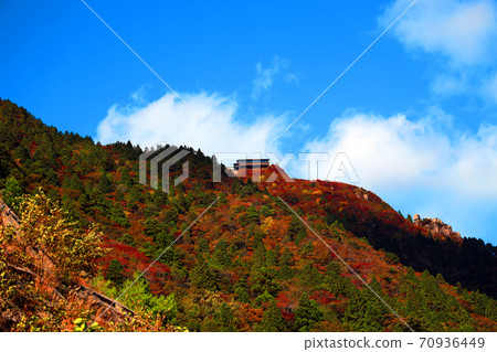 三重縣三重郡葛野市的秋葉風景，秋天，秋天風景，秋天的顏色，[十月] 70936449
