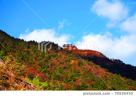 三重縣三重郡葛野市的秋葉風景，秋天，秋天風景，秋天的顏色，[十月] 70936450