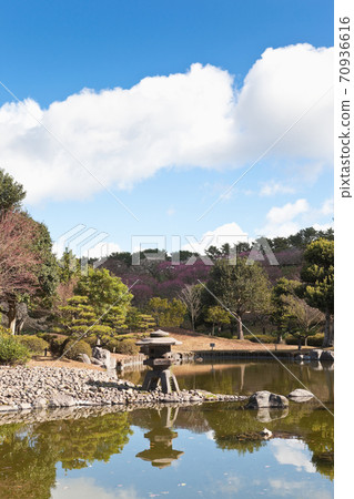 Japanese garden in Yoshino Park Japanese garden in Yoshino Park 70936616