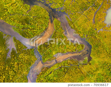 Aerial view of colorful pond in the marshlands Aerial view of colorful pond in the marshlands 70936617