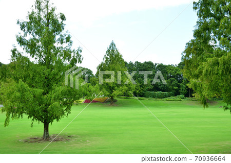 Expo'70 Commemorative Park Natural and Cultural Gardens, a vast green lawn 70936664