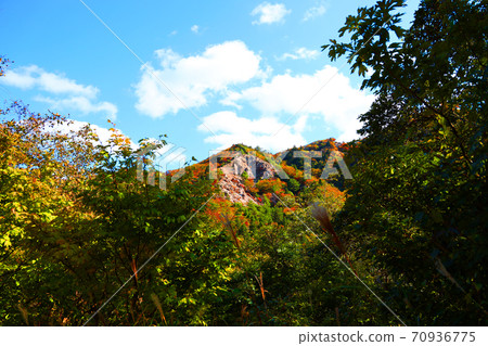 Autumn leaves, autumn, autumn colors, [October] in Komono, Mie-gun, Mie Prefecture 70936775