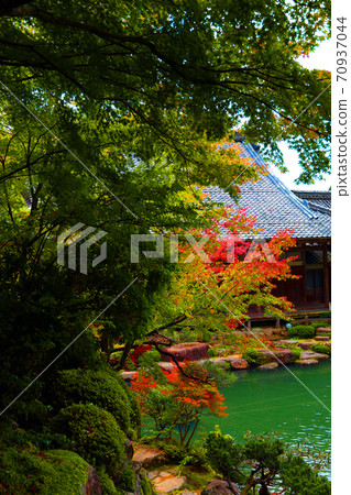 滋賀縣東近江市百草寺的秋葉風景，秋天，秋天風景，秋天的顏色[十月] 70937044
