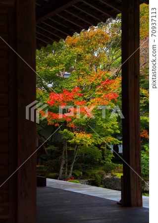 Autumn leaves scenery, autumn, autumn scenery, autumn colors of Hyakusaiji Temple in Higashiomi City, Shiga Prefecture, [October] 70937113
