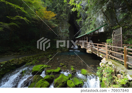 (Yamaguchi Prefecture) Scenery near the entrance of Akiyoshido 70937840