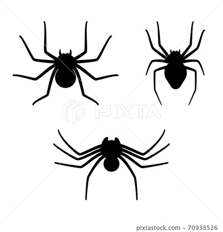 Spider web concept 70938526