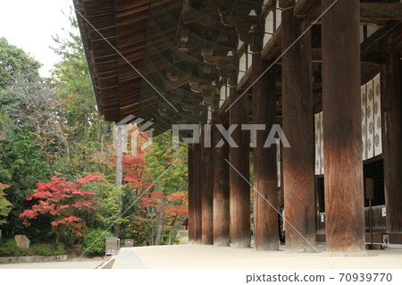 Late autumn Toshodaiji temple tranquil silence 70939770