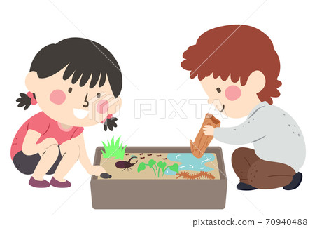 Kids Sensory Bin Insect Illustration 70940488