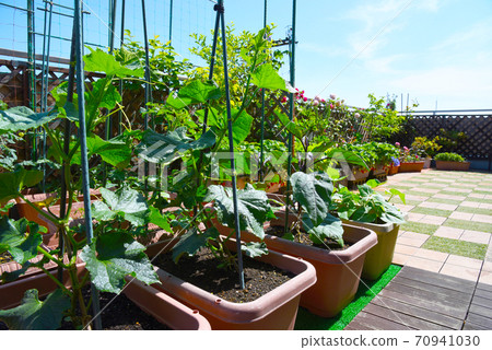 屋頂陽台上的家庭花園有趣，美味，快樂，回家 70941030