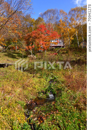 Autumn leaves on the shores of Lake Shirakaba Autumn leaves on the shores of Lake Shirakaba 70941278