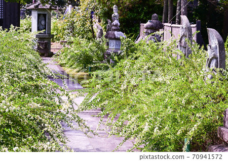 Hagi Temple Jisshoin Hagi Temple Jisshoin 70941572