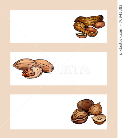 Set of horizontal banners with colored cartoon nuts. Peanut, hazelnut and pecan. Objects separate from the background. Vector template 70943382