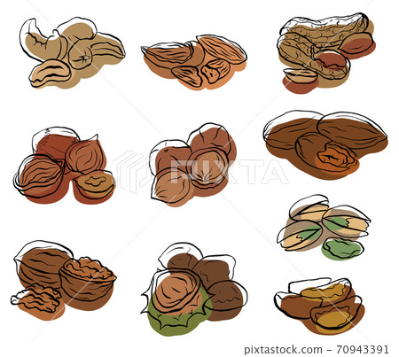 Set of contour drawings of various types of nuts with colored spots. Set of contour drawings of various types of nuts with colored spots. 70943391