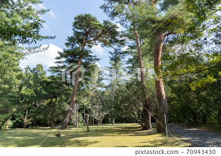 [Mie Prefecture] Iga Ueno Castle 70943430