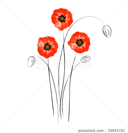 Red poppies concept. Abstract grunge red poppies isolated on white background. Bright flowers poppies perfect fit for design cover, wallpaper, wrapping, card. Vector Illustration Red poppies concept. Abstract grunge red poppies isolated on white background. Bright flowers poppies perfect fit for design cover, wallpaper, wrapping, card. Vector Illustration 70943781