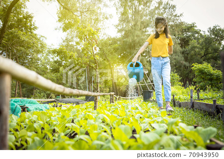 Happy asian child girl watering plants with watering can in organic garden,activities,help parents to grow vegetables,working and gardening in outdoor,female teen cares vegetables,agriculture concept Happy asian child girl watering plants with watering can in organic garden,activities,help parents to grow vegetables,working and gardening in outdoor,female teen cares vegetables,agriculture concept 70943950
