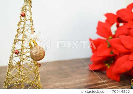 金線樹和紅色一品紅 70944302