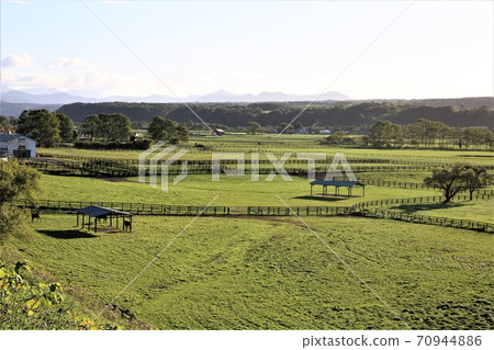 Hidaka Thoroughbred Road 70944886