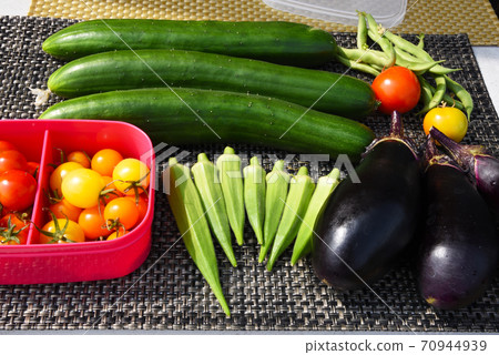 家庭花園，家庭時間，各種收成，自給自足 70944939