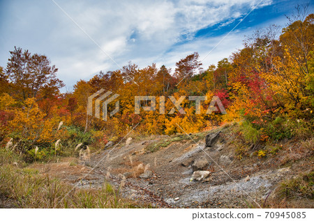 青森縣八甲田地獄之沼的秋葉景色 70945085